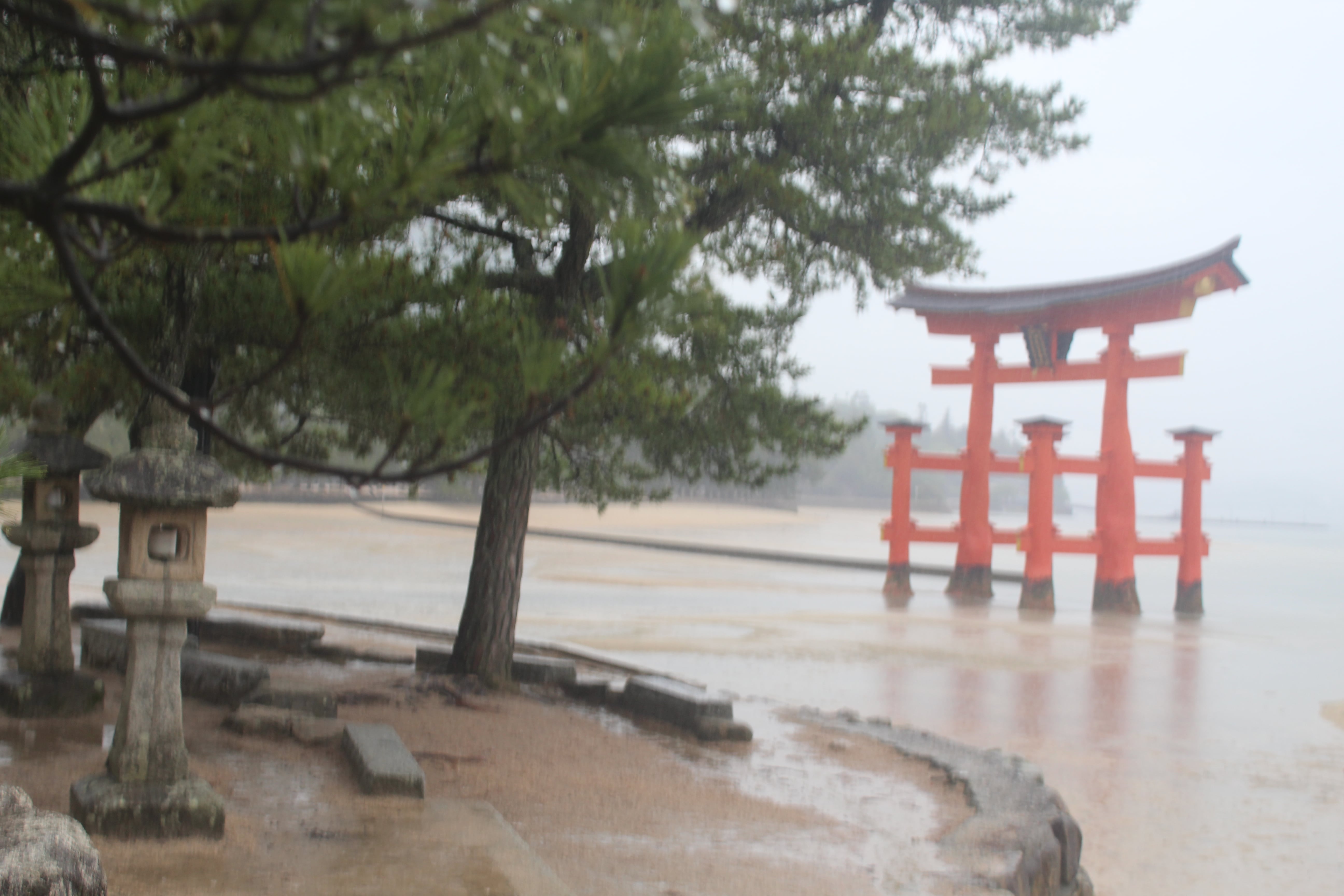 Japón